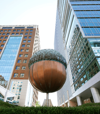 Iconic acorn sculpture located in the heart of downtown Raleigh, NC, flanked by modern office buildings.